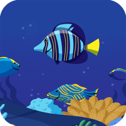 Ocean Math Game Online